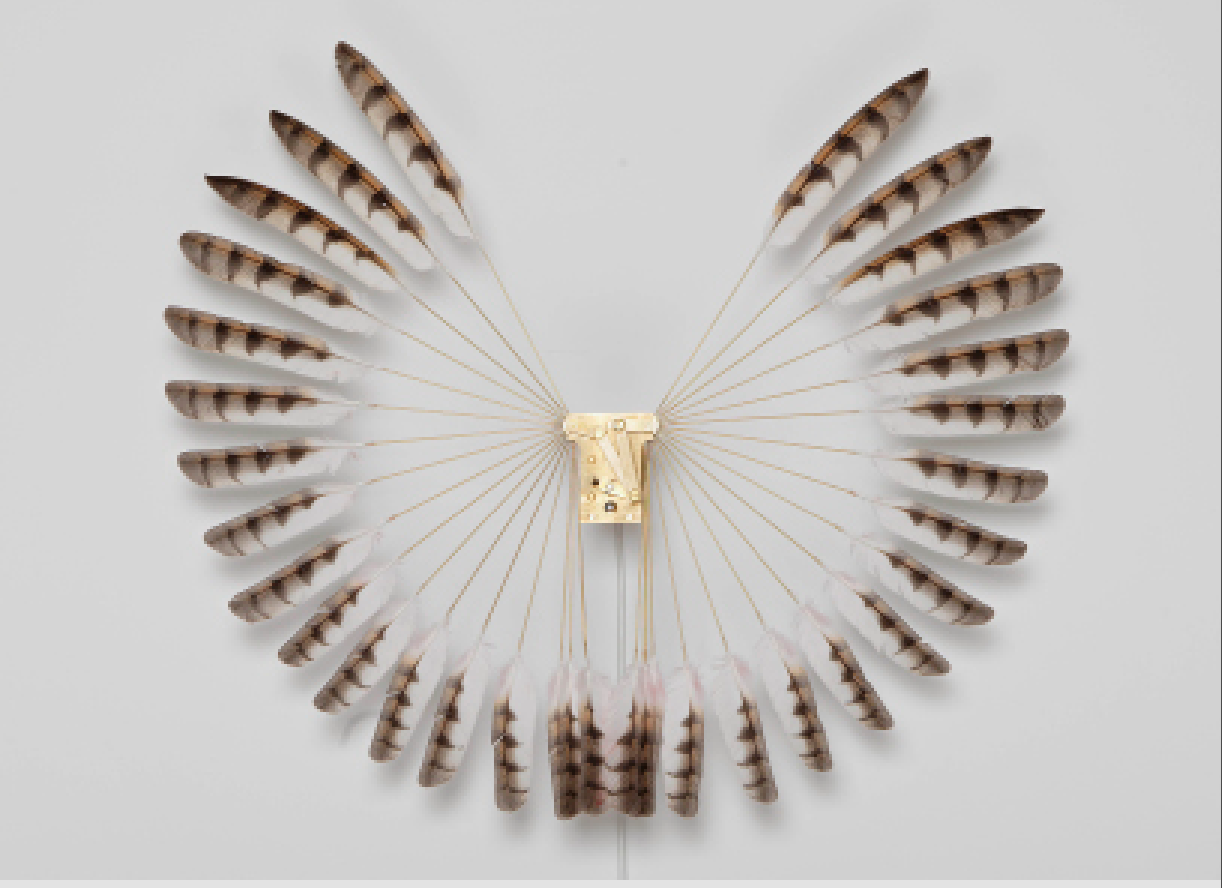 Plumes de Rebecca Horn